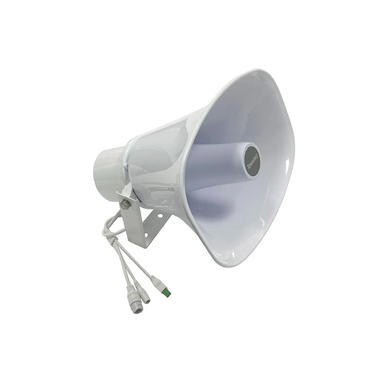 VoIP horn speaker