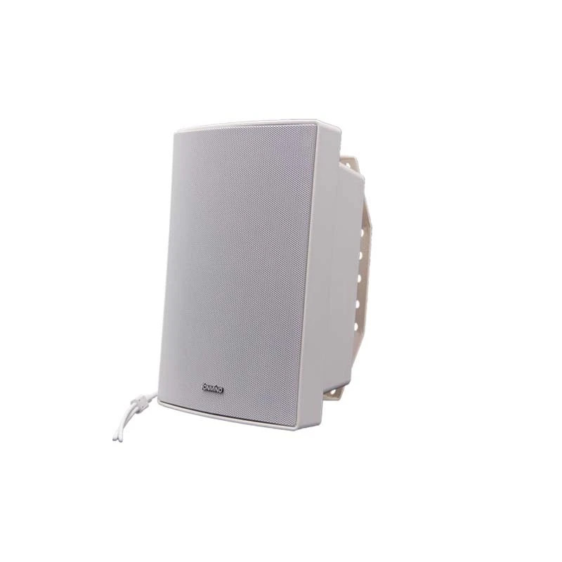 30w wall speaker